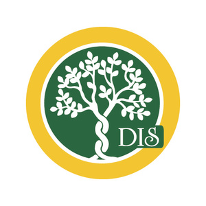 Delhi International School
