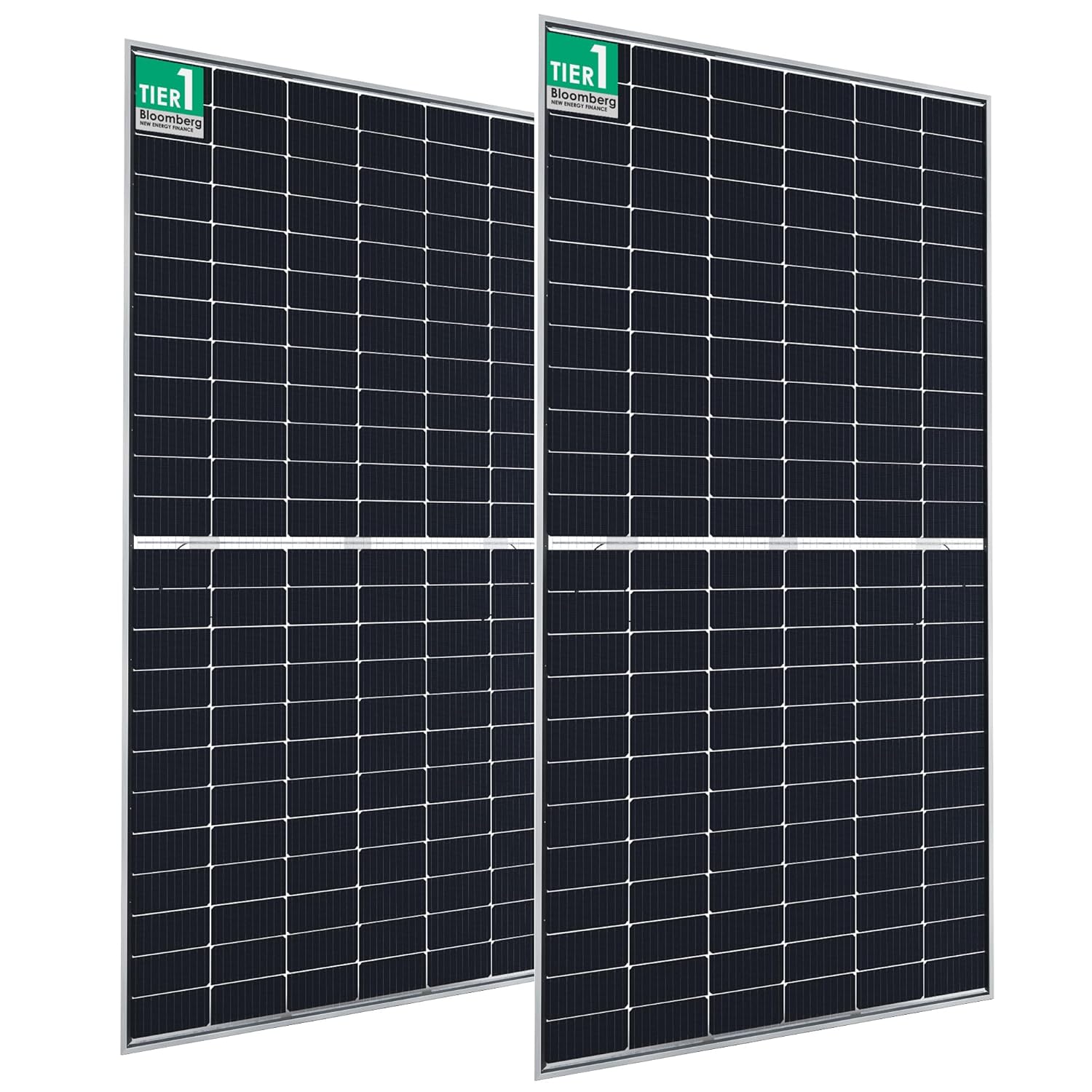 Vikram Solar PARADEA DCR bifacial solar panel