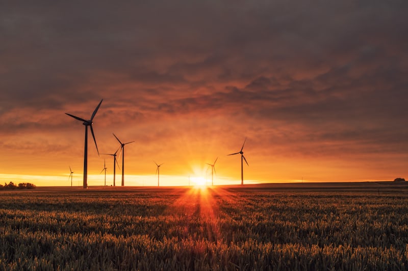 Wind turbines at sunset, part of India's renewable energy mix